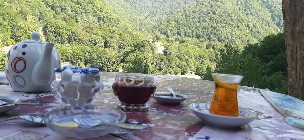Gabala Mountains Villa Εξωτερικό φωτογραφία